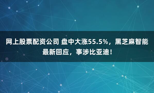 网上股票配资公司 盘中大涨55.5%，黑芝麻智能最新回应，事涉比亚迪！