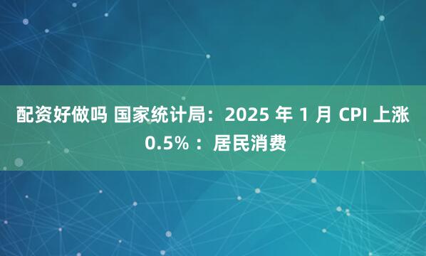 配资好做吗 国家统计局：2025 年 1 月 CPI 上涨 0.5% ：居民消费