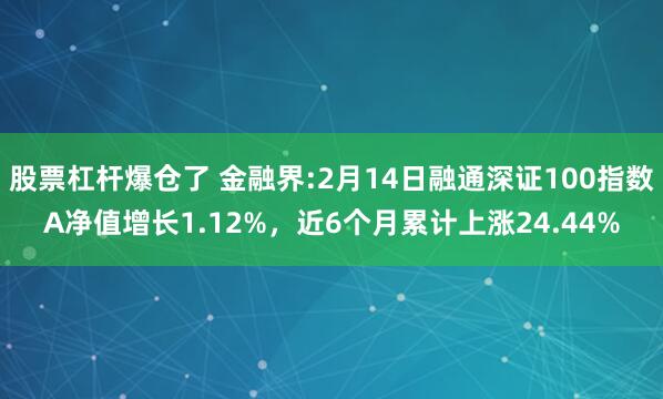 股票杠杆爆仓了 金融界:2月14日融通深证100指数A净值增长1.12%，近6个月累计上涨24.44%