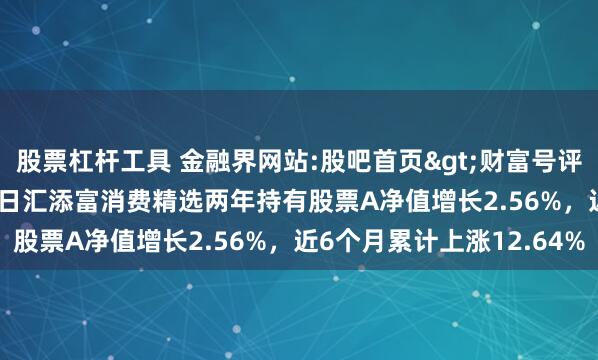 股票杠杆工具 金融界网站:股吧首页>财富号评论吧>正文 2月14日汇添富消费精选两年持有股票A净值增长2.56%，近6个月累计上涨12.64%