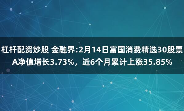 杠杆配资炒股 金融界:2月14日富国消费精选30股票A净值增长3.73%，近6个月累计上涨35.85%