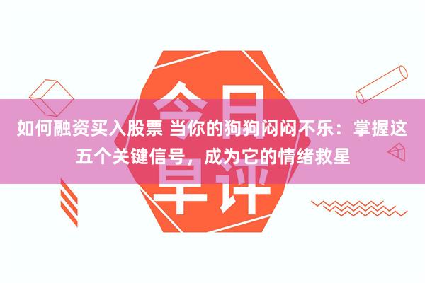 如何融资买入股票 当你的狗狗闷闷不乐：掌握这五个关键信号，成为它的情绪救星