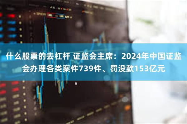 什么股票的去杠杆 证监会主席：2024年中国证监会办理各类案件739件、罚没款153亿元