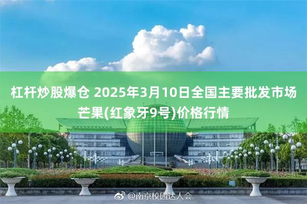 杠杆炒股爆仓 2025年3月10日全国主要批发市场芒果(红象牙9号)价格行情